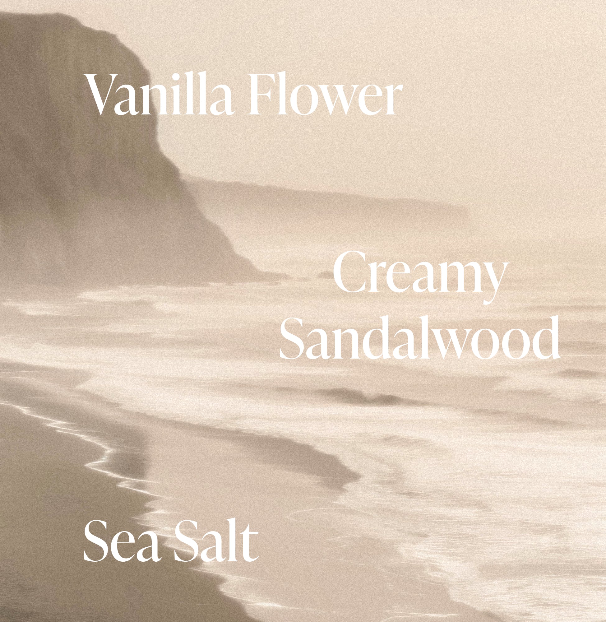 3-SLTR_PDP_SaltWaterVanilla_FragranceNotes_0036dc5c-25cf-48c9-9e5b-fbdeb3855198_3000x.jpg