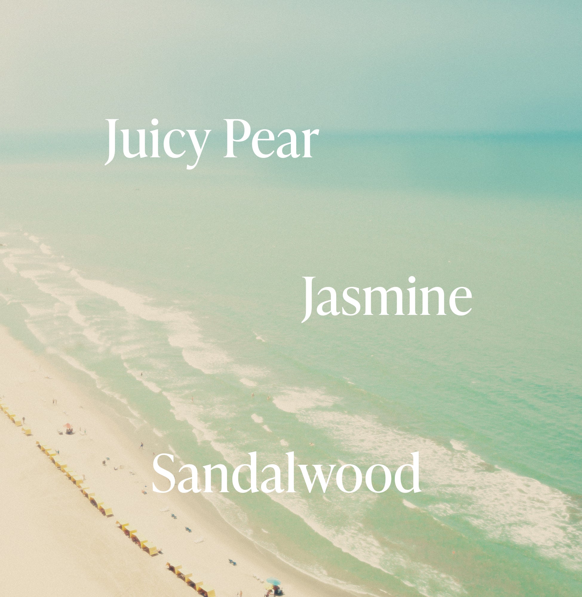 4-PDP_BodyWash-PacificPear_Fragrance-Notes_95a6833f-fcb2-4b9f-bd2d-83e4de8cc071_3000x.jpg
