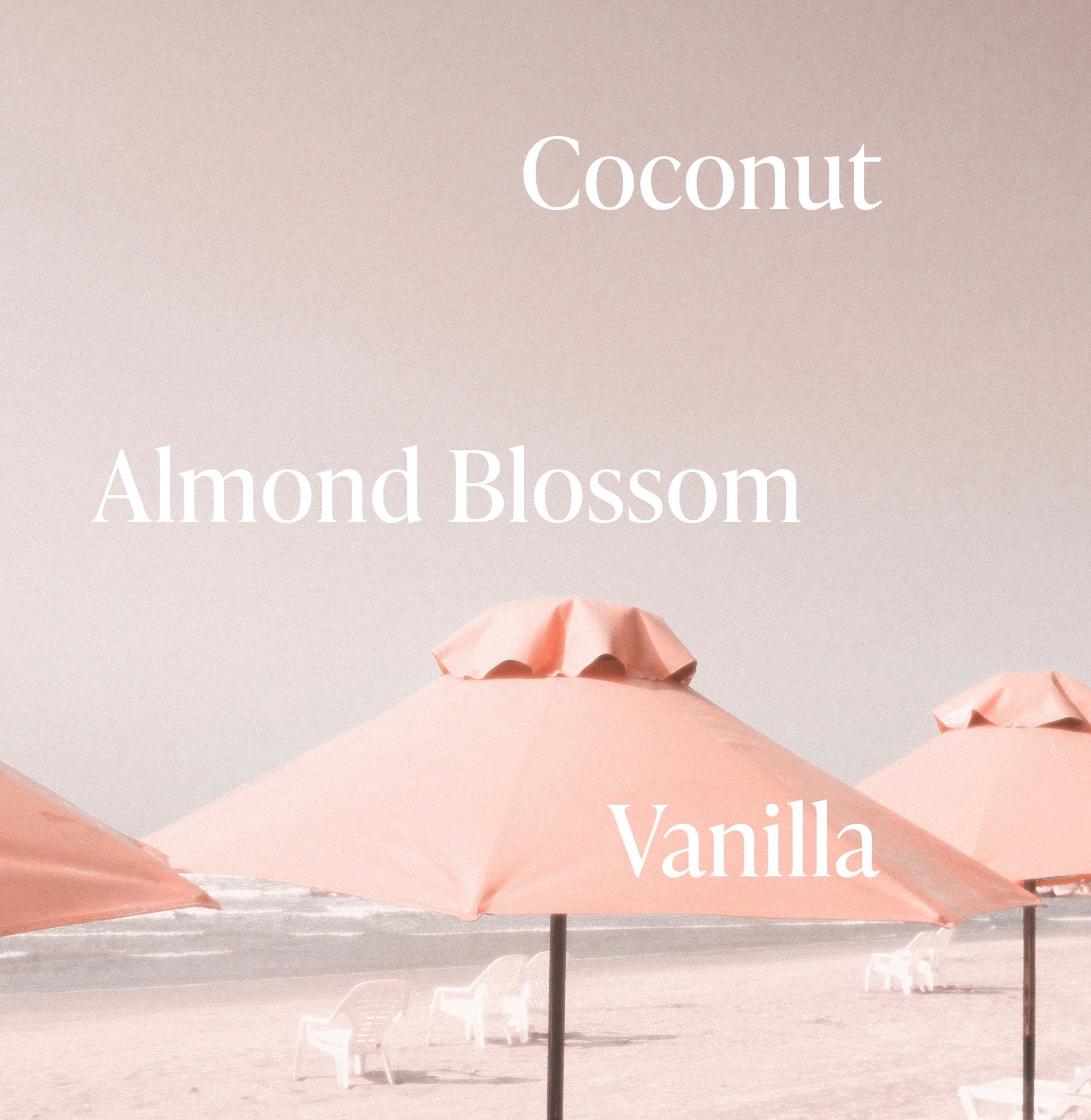 4-Pink-Beach_Fragrance-Notes_a8b1d4aa-1439-49bb-9eff-445ca63d5b54_3000x.jpg