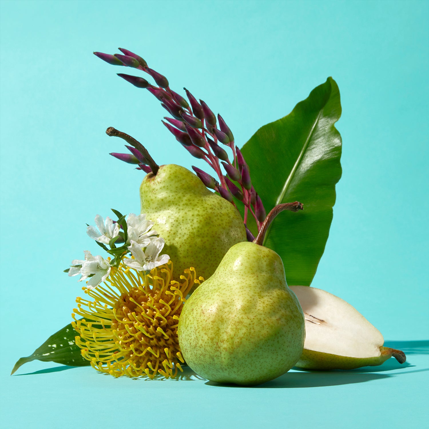 5-PDP_BodyWash-PacificPear_Ingredients_cae54e6a-7d79-4899-befd-895b08da1039_3000x.jpg