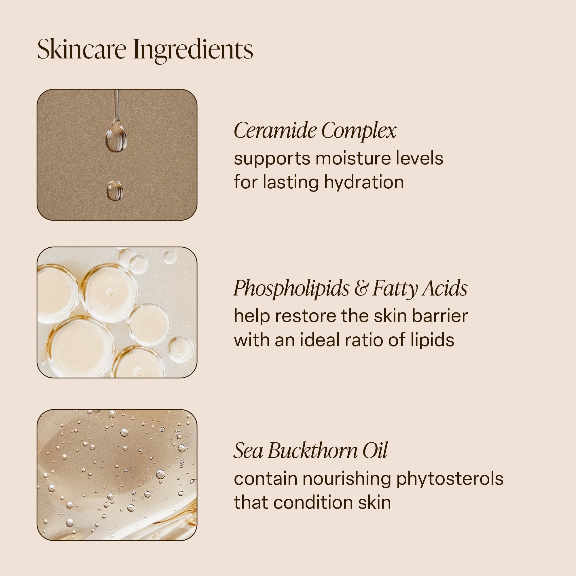 5-SLTR_PDP-KeyIngredients-BodyButter-v2_3000x.jpg