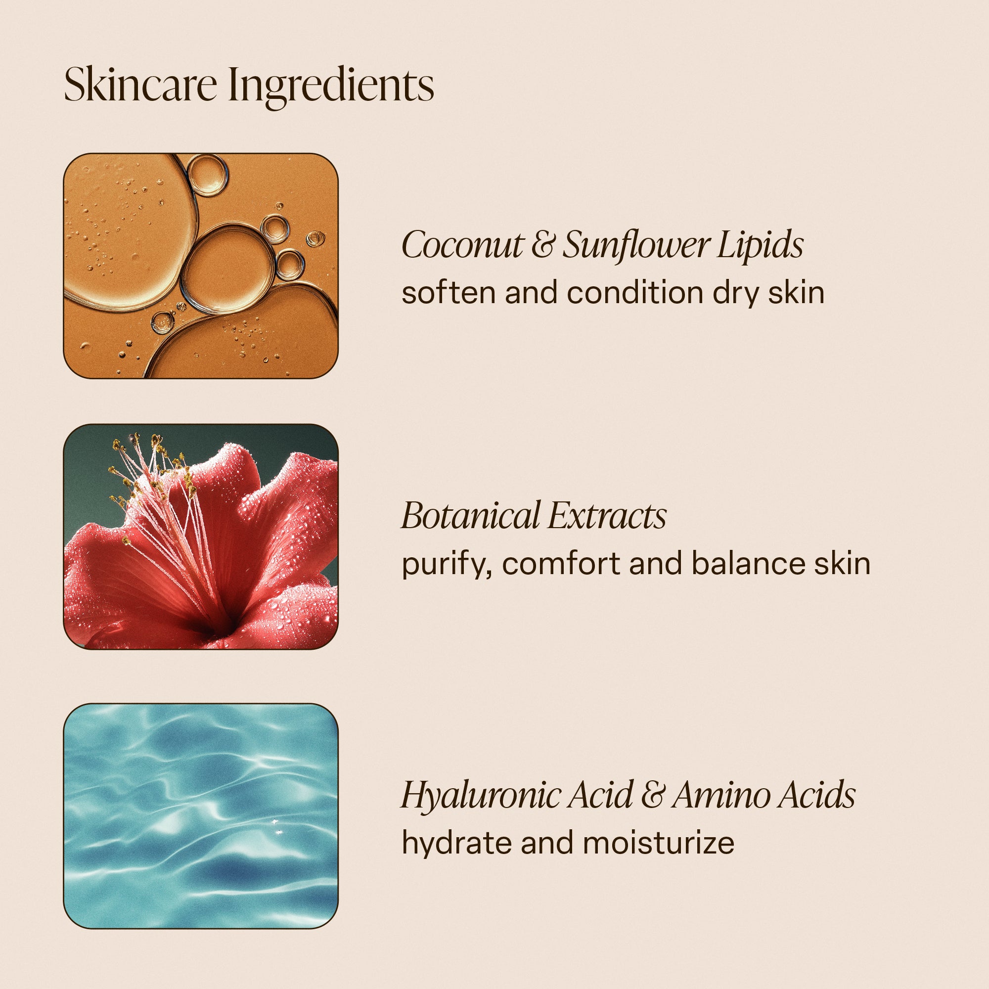 5-SLTR_PDP-KeyIngredients-BodyWash-Driftwood_1_3000x.jpg