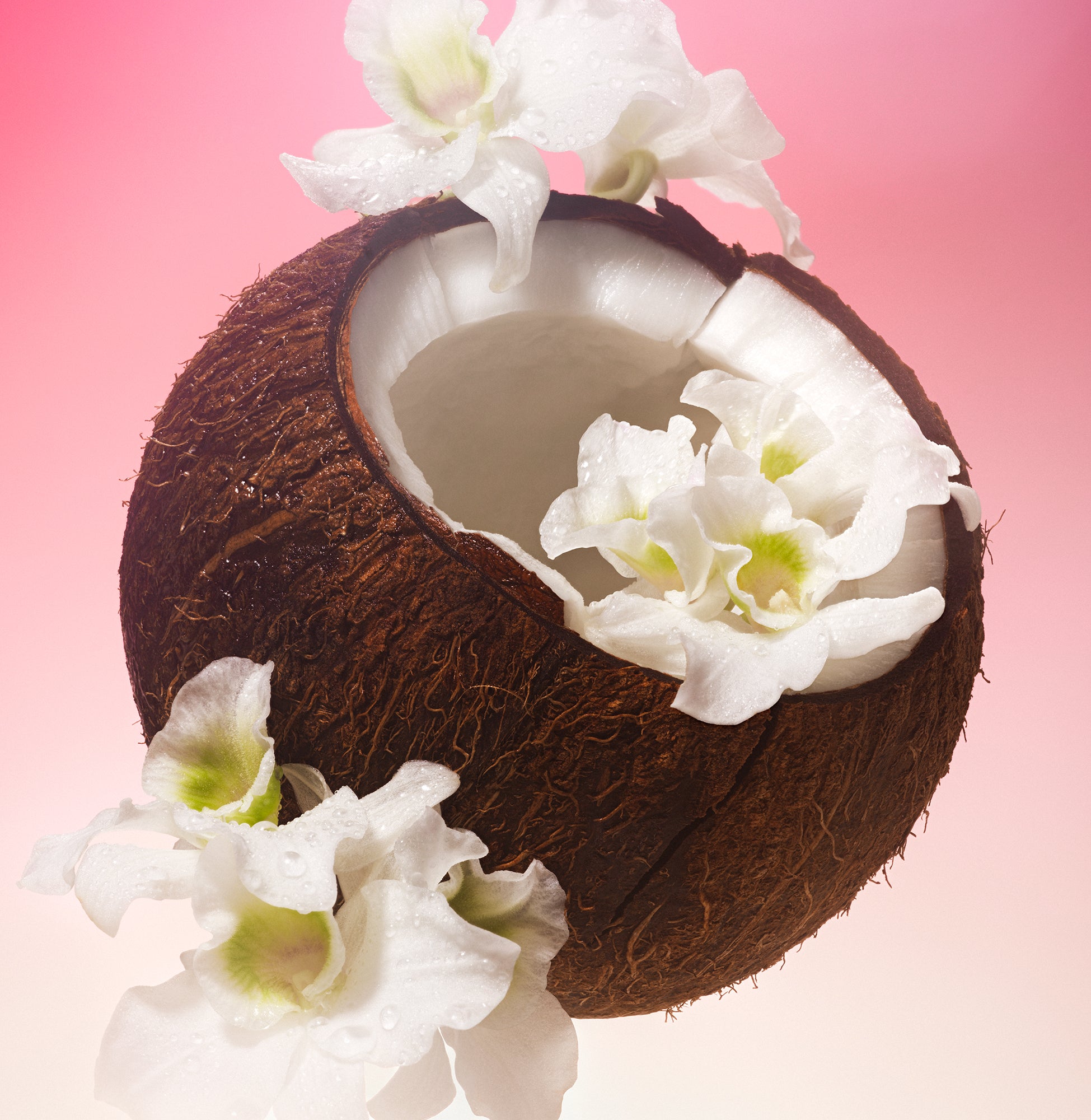 5-SLTR_PDP_BodyMist_PinkBeach_Botanical_3000x.jpg