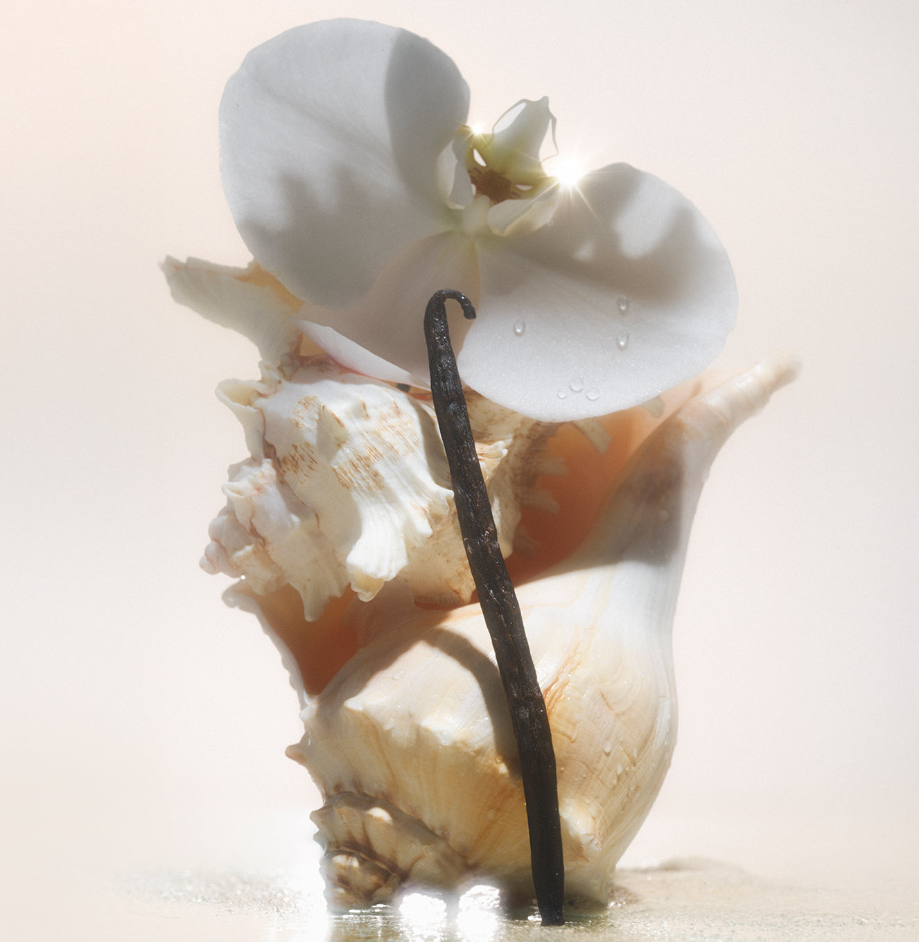 5-SLTR_PDP_SaltWaterVanilla_Botanicals_f3f8748a-a506-45c0-9faf-2fdfe85e3f96_3000x.jpg