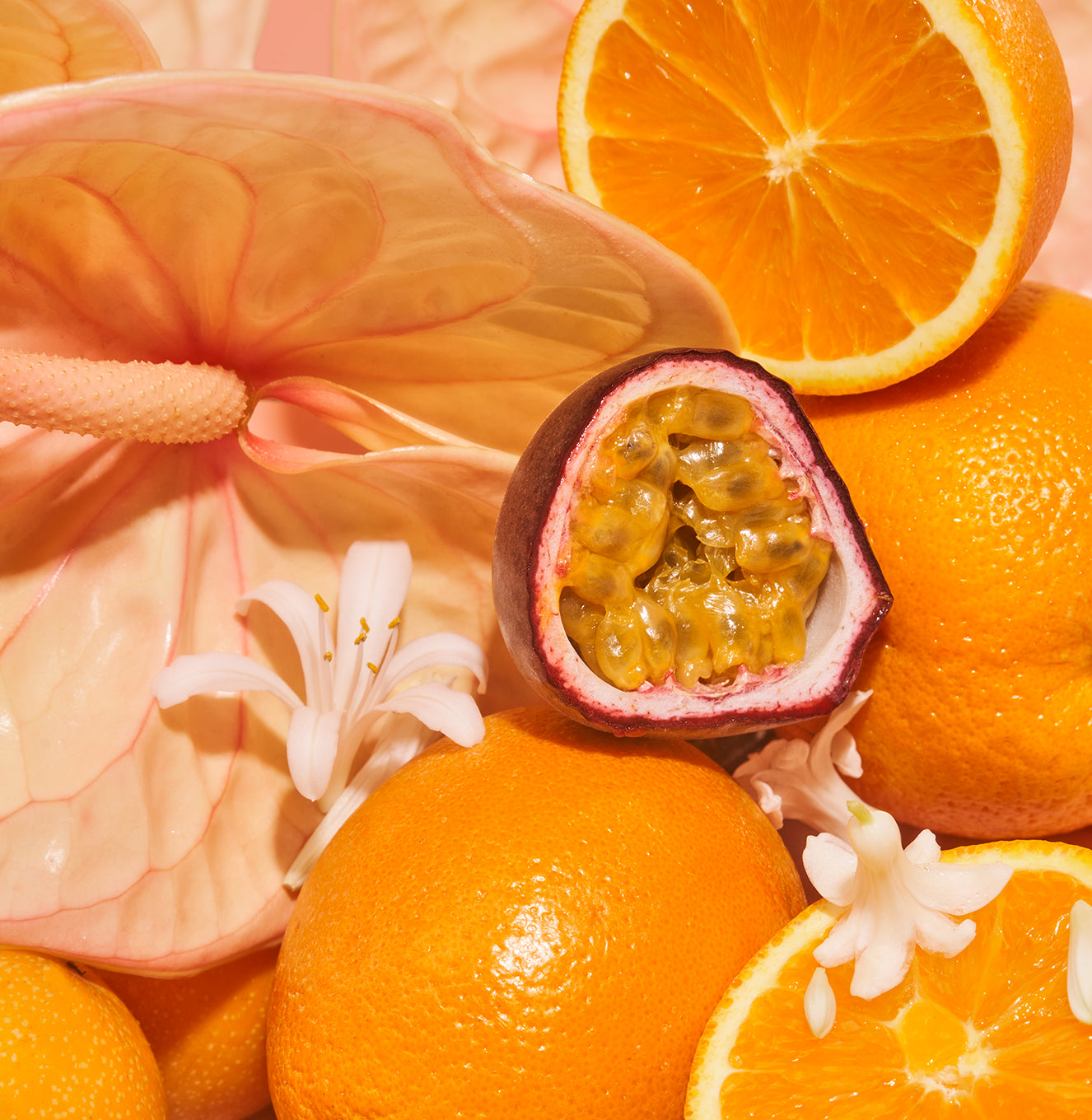 5-SLTR_PDP_SerumDeo_ExoticPulp_Ingredients_3000x.jpg
