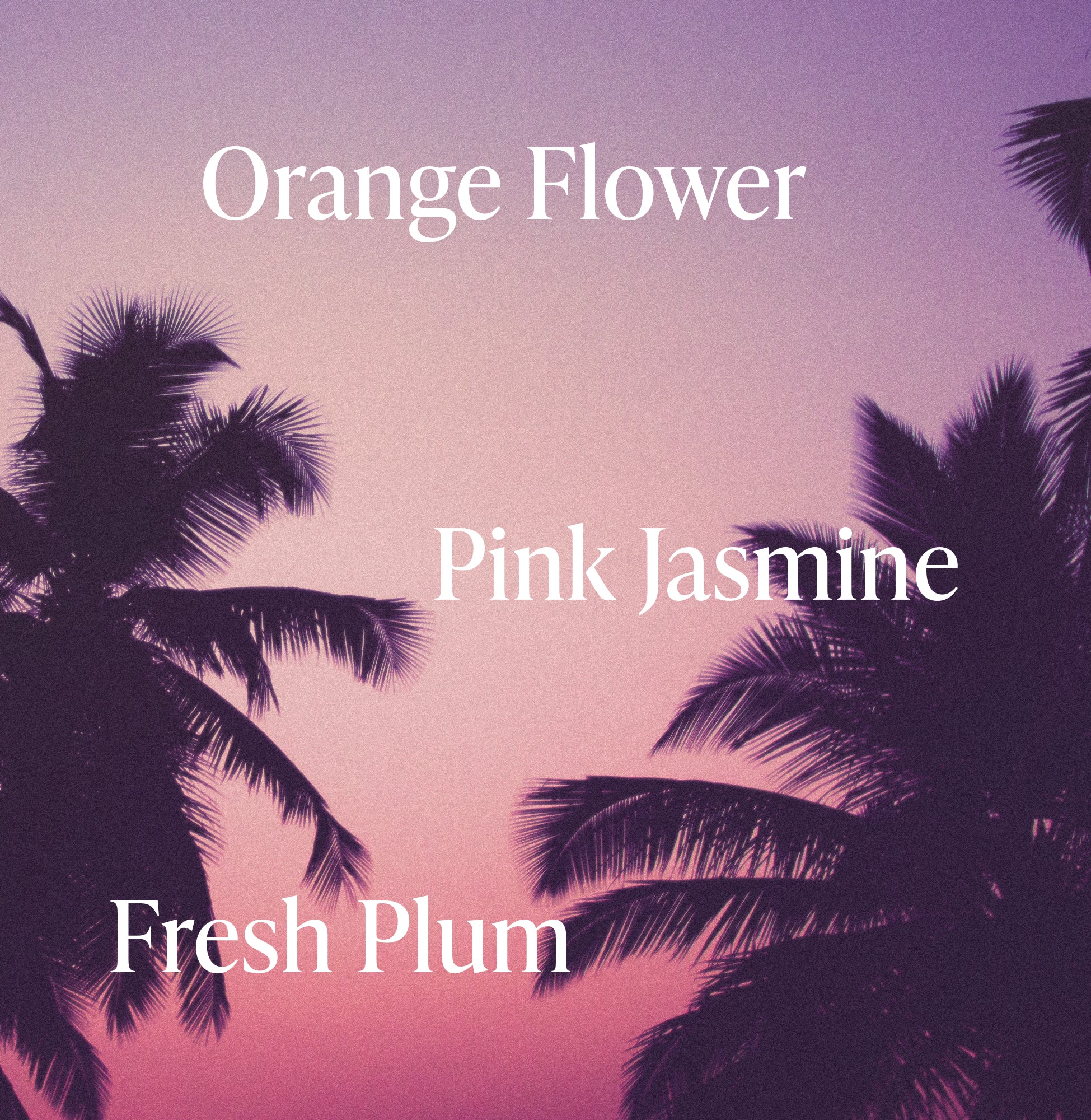 Beach-Blonde_Conditioner_Purple_Fragrance-Notes_a3a5d9d9-0557-45ed-bdab-c4372b02e43a_3000x.jpg
