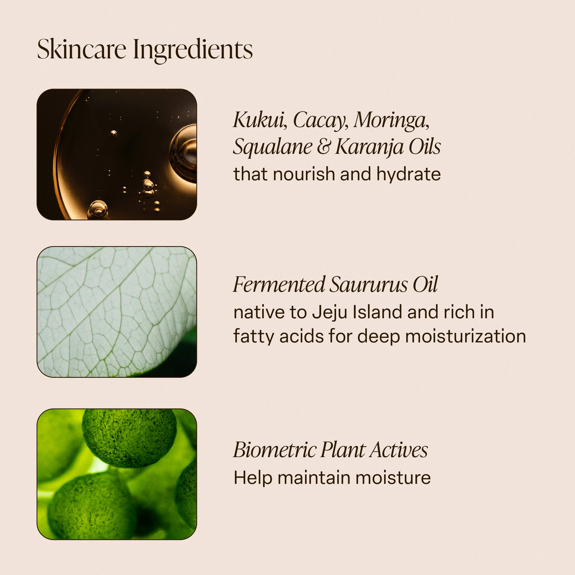 SLTR_PDP-KeyIngredients-BODYOIL_4_3000x.jpg